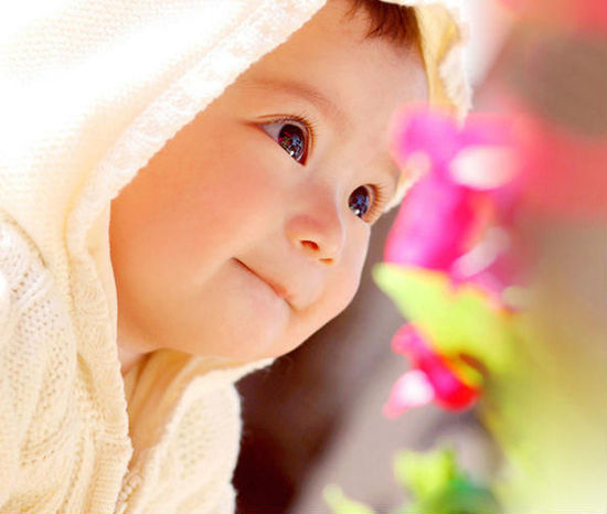 1.3-6歲 全腦開(kāi)發(fā) 1.3-6歲 全腦開(kāi)發(fā)